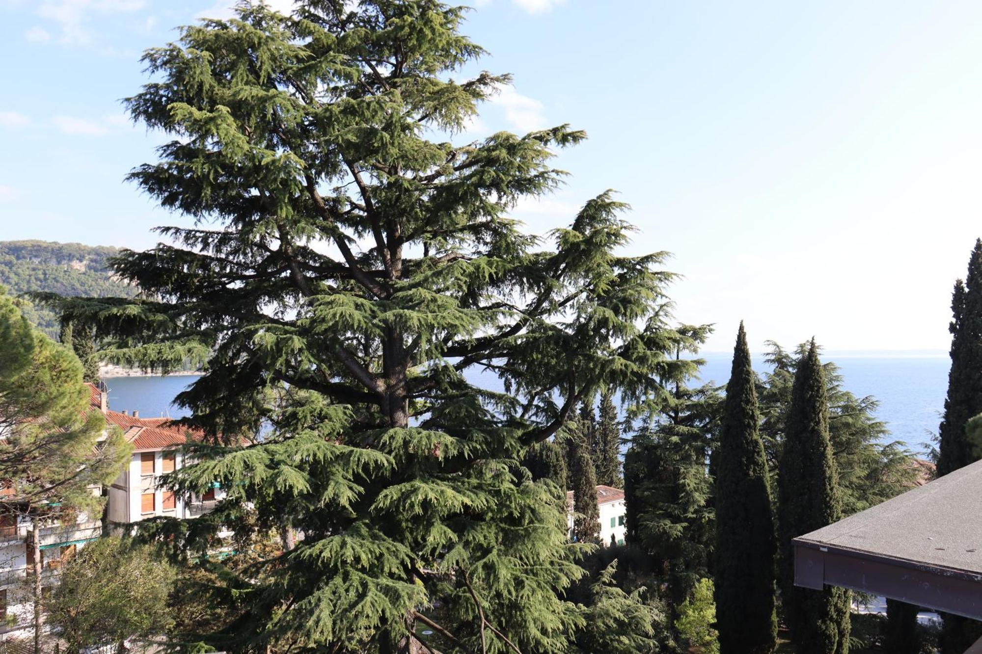 Monika Holiday 315 Magic Lake Garda (Verona) Exterior foto